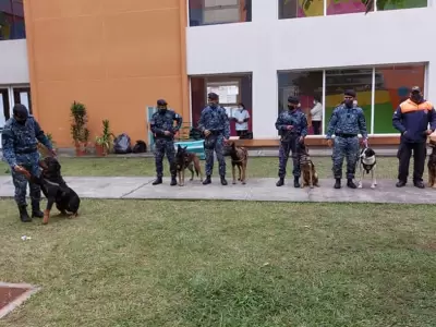 perros-policia-exhibicion