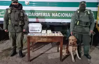 gendarmeria-nacional-droga-2