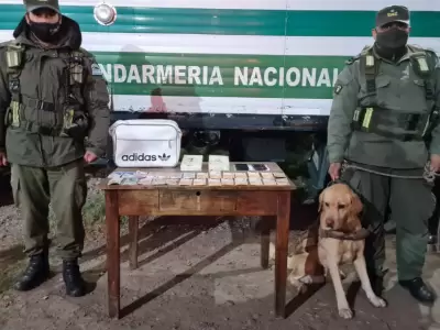 gendarmeria-nacional-droga-2
