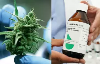 aceite-de-cannabis-medicinal-