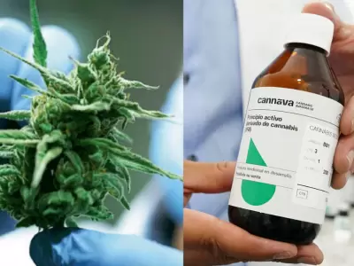 aceite-de-cannabis-medicinal-