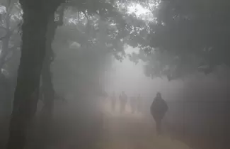 caminantes-neblina-