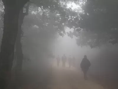 caminantes-neblina-