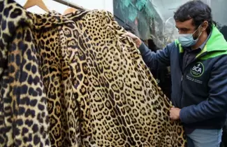 tapado-animales-protegidos-