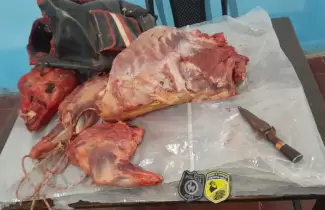 piezas-de-animales-faenadas