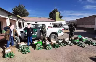 hojas-de-coca-secuestradas