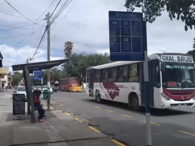 colectivos