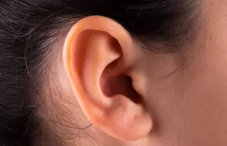oreja