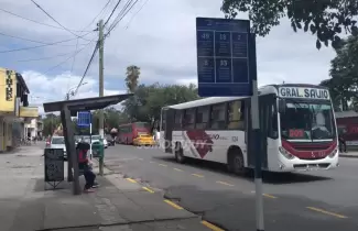 colectivos