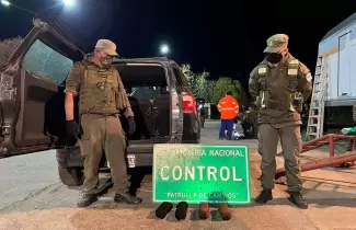 control-gendarmeria-cocaina