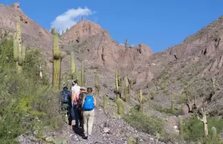 turistas