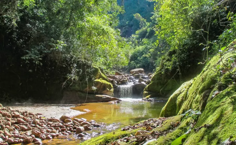 parque-nacional-calilegua