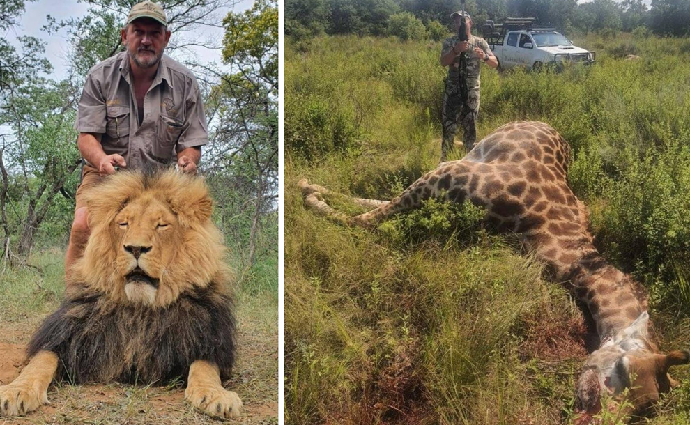 Fue asesinado a tiros un conocido cazador de leones, jirafas y elefantes en  Sudáfrica - Somos Jujuy