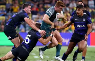 los-pumas