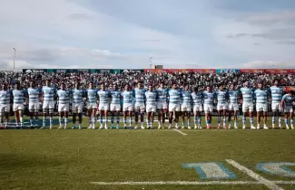 los-pumas