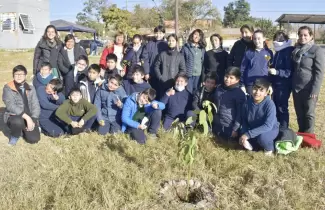 colegio-modelo-palpala-plantacion-arboles