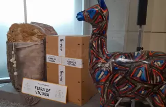fibra-de-vicuna