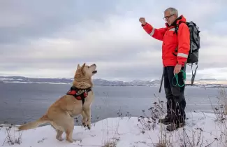 tango-perro-heroe-