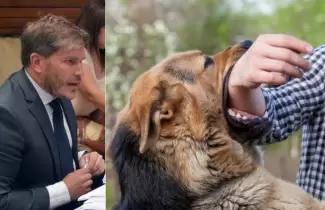 Cuidado-de-animales-Juan-Jenefes