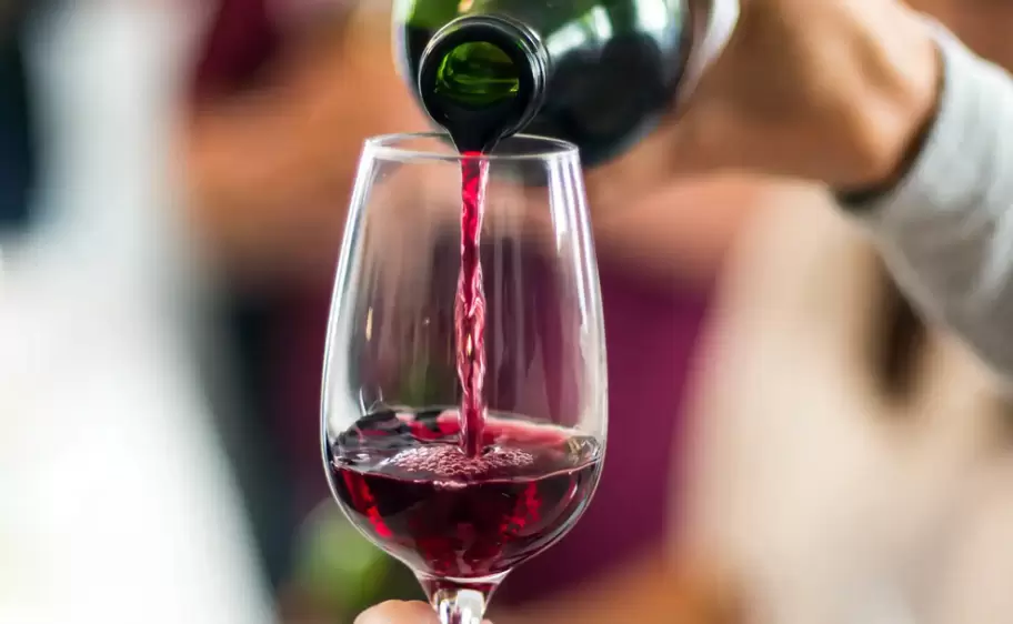 vino-argentina-tinto-