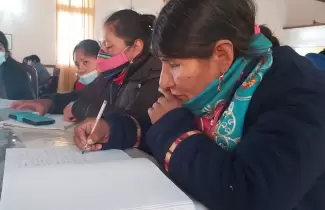 lengua-indigenas-originarias-