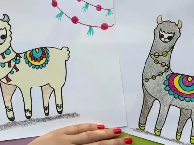 llamas-dibujo-ilustrativo