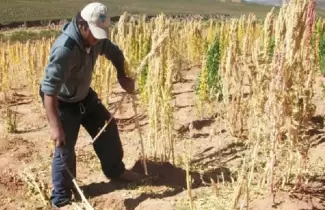 productores-jujenos