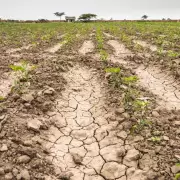 Se agrava la sequía en Jujuy: durante julio llovió la mitad del promedio histórico