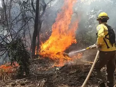 incendios-forestales