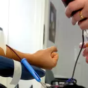 D�a Mundial del Donante de Sangre: c�mo y d�nde pod�s donar en Jujuy