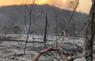 Por los incendios forestales, esperan que El Bananal y Yuto sufran graves inundaciones
