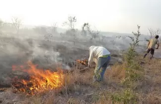 incendios-forestales-hombre