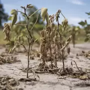 Productores de Palma Sola recibieron equipamiento para combatir la sequía