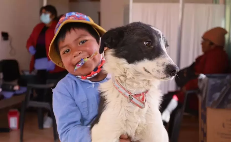 nino-perro-vacunacion-antirrabica-mascota