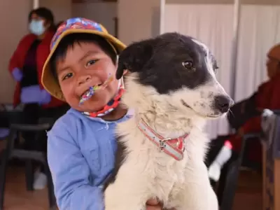 nino-perro-vacunacion-antirrabica-mascota