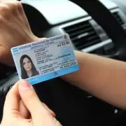 Sistema Scoring en Jujuy: inhabilitaron la licencia de conducir de ocho jujeños por 60 días