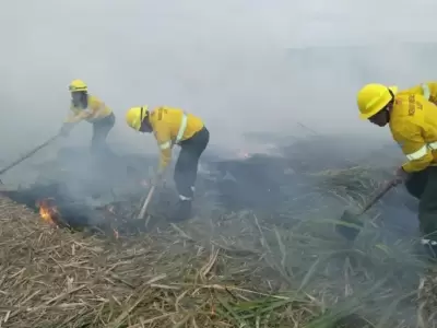 incendio-forestal-yungas