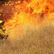 En el mes de octubre se reportaron 95 incendios forestales en Jujuy