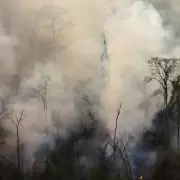 Multaron a 3 personas por causar incendios forestales en Jujuy