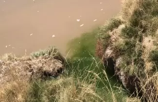 Contaminación del río Miraflores