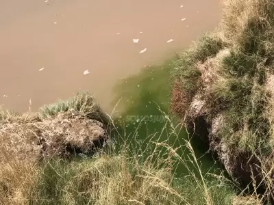 Contaminacin del ro Miraflores