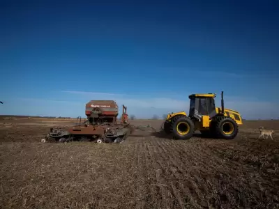 tractor campo