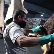 En febrero el 42,3% de las empresas registró una caída en su producción