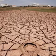 En Argentina hay siete millones de hectáreas afectadas por la severa sequía