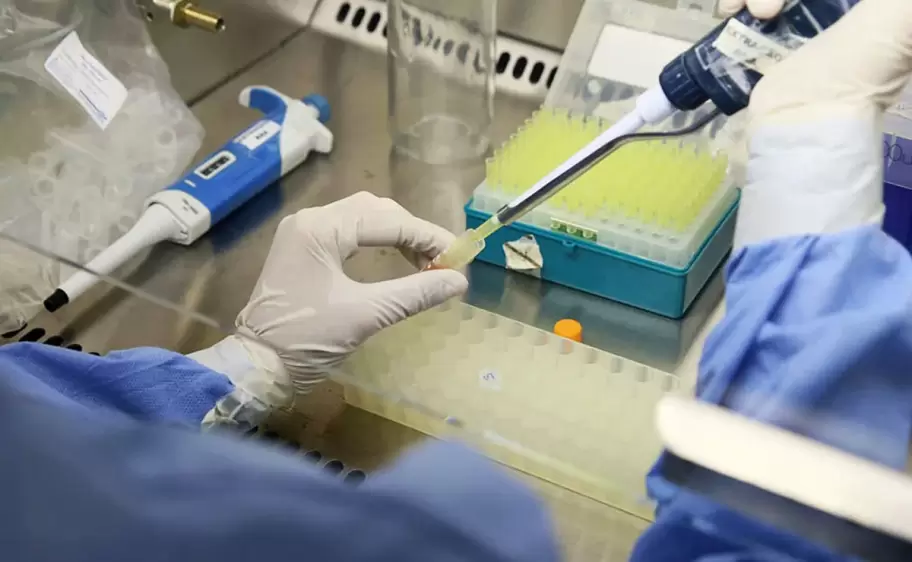 Laboratorio