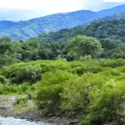 Una puerta de ingreso a las Yungas: promueven el turismo en la reserva Las Lancitas