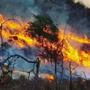 Fuego en Salta: estiman que 40 mil hectáreas fueron arrasadas por los incendios