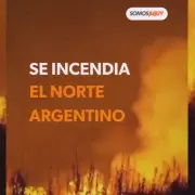 Incendios en el norte de Argentina: el video que busca generar conciencia