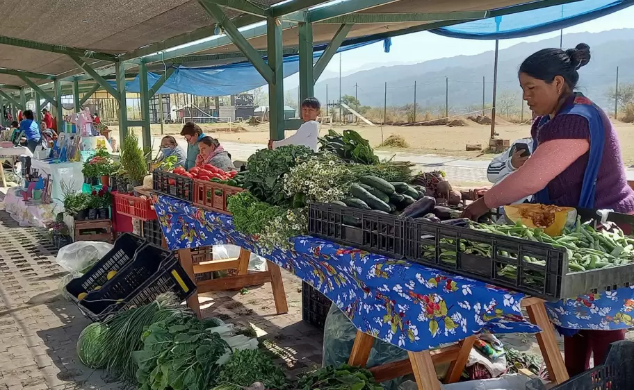 Expoferia Agroecológica