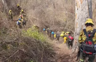 trabajo de los brigadistas de Salta y Jujuy